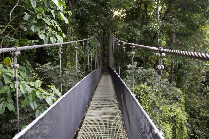 hanging bridges la fortuna