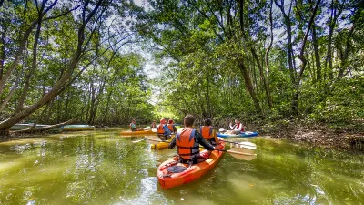 Isla Damas Mangrove Kayak Tour