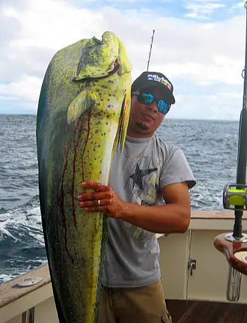 Dorado fishing Mahi Mahi Costa Rica