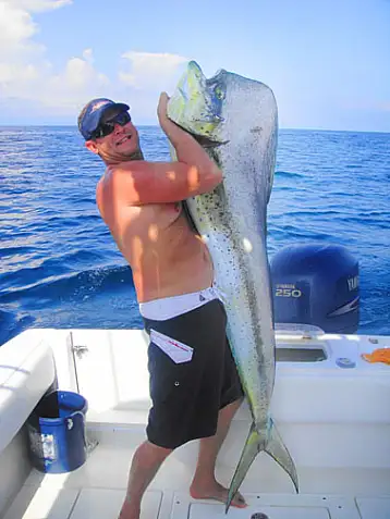 Dorado mahi mahi los suenos sportfishing fishing costa rica