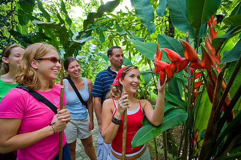 Hiking Monteverde