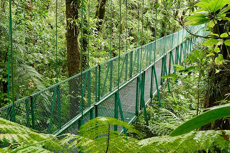 hanging bridges monteverde cloud forest