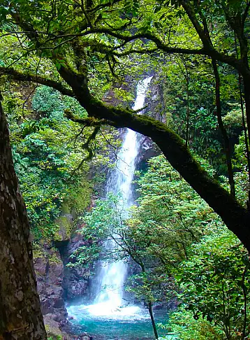 Monteverde San Luis Waterfall Costa Rica