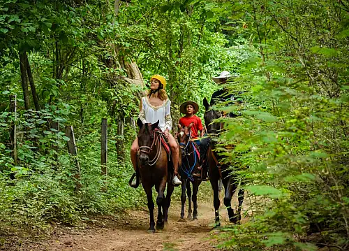 Tamarindo Horseback Riding to Playa Conchal in Guanacaste, Costa Rica