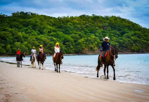 Tamarindo Conchal Beach Horseback Riding Tour in Guancaste, Costa Rica