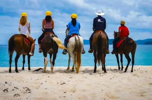 Costa Rica Horseback Riding Tours Tamarindo Guanacaste and Playa Conchal Beach