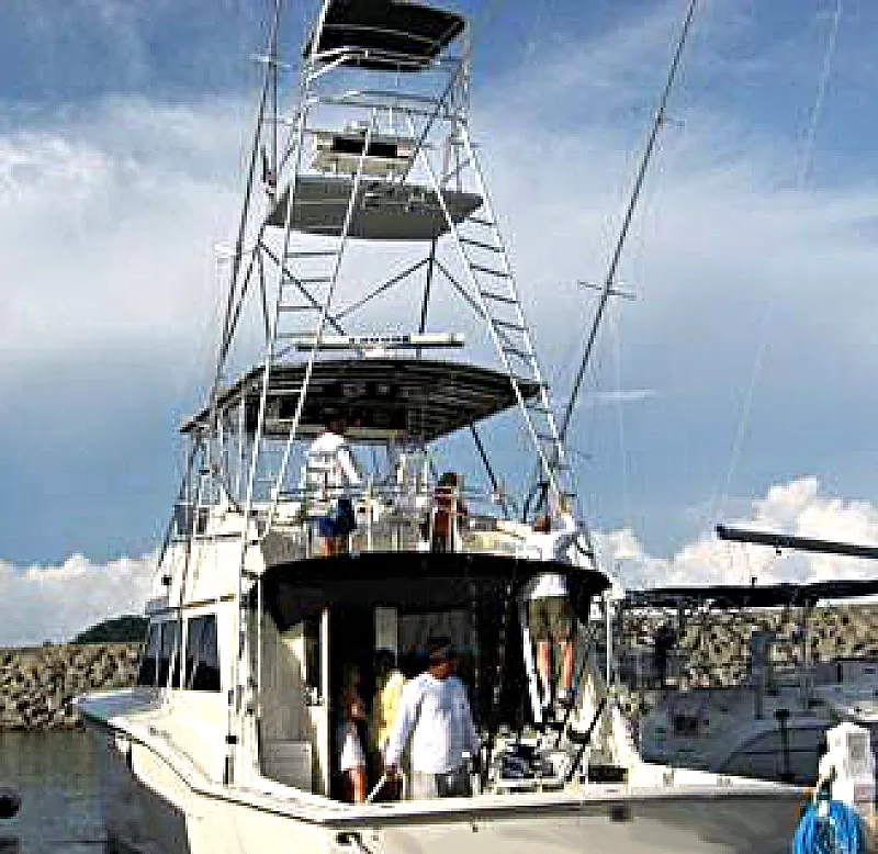 charter fishing los suenos