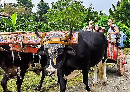 Don Juan Coffee and Chocolate Tour in La Fortuna Costa Rica