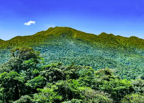 Tenorio Volcano National Park Alajuela La Fortuna Costa Rica