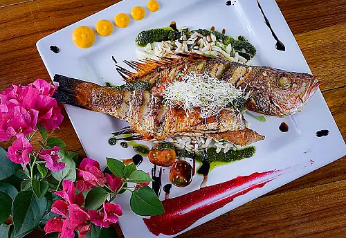 Grilled Snapper at Dragonfly Bar & Grill in Tamarindo Guanacaste Costa Rica