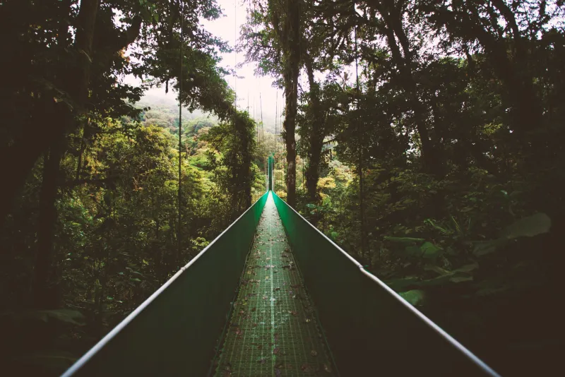 la fortuna hanging bridges