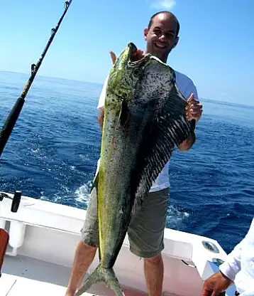 dorado fishing mahi mahi los suenos costa rica