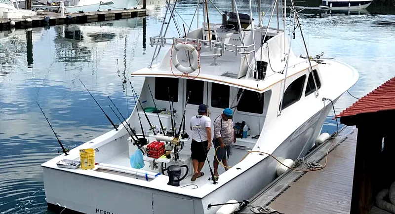 fishing charter los suenos