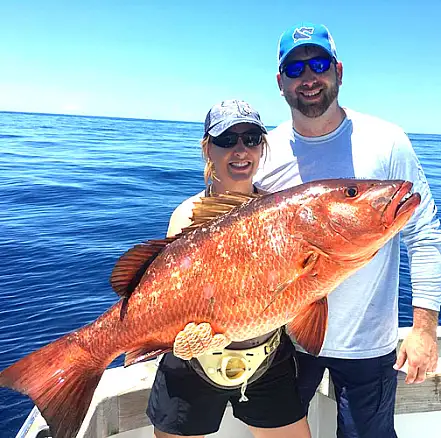 fish snapper costa rica