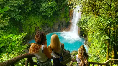 Monkey Mangrove Tour in Costa Rica YouTube Thumbnail Video Image